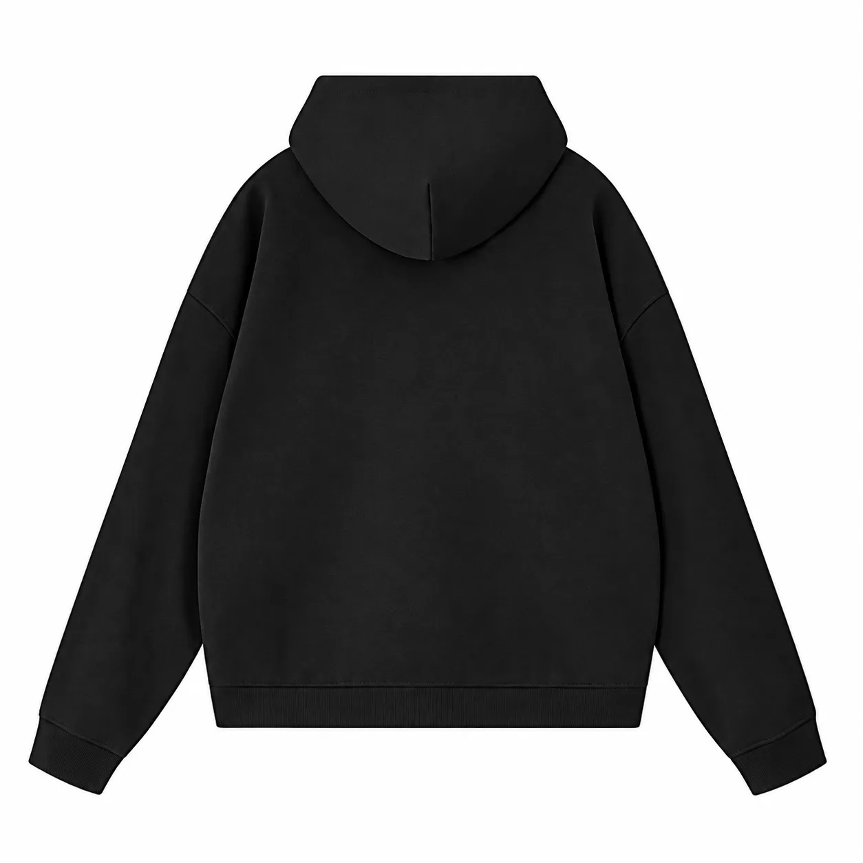 Arc 360 Zip Hoodie in Black, back view