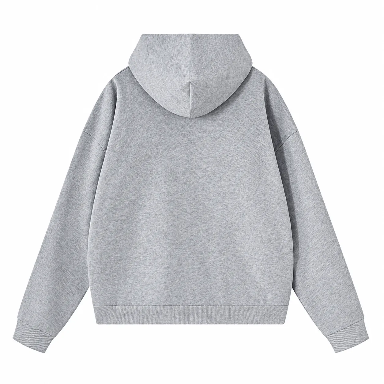 Arc 360 Zip Hoodie in Light Grey, back view